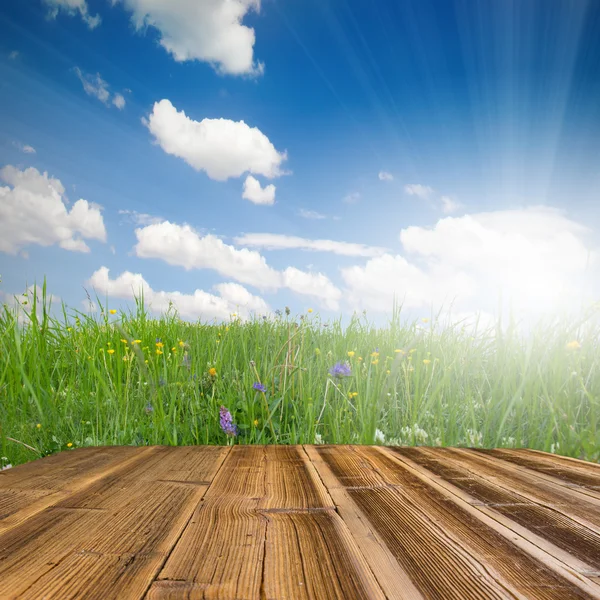 Grass and sky — Stock Photo, Image