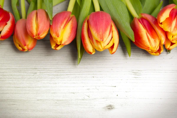 Tulpenstrauß — Stockfoto