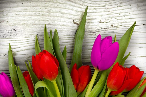 Tulpenstrauß — Stockfoto