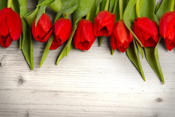 Tulipán kytice — Stock fotografie