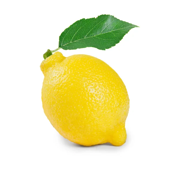 Lemon — Stock Photo, Image