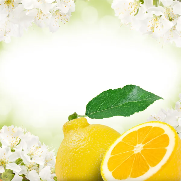 Lemons — Stock Photo, Image