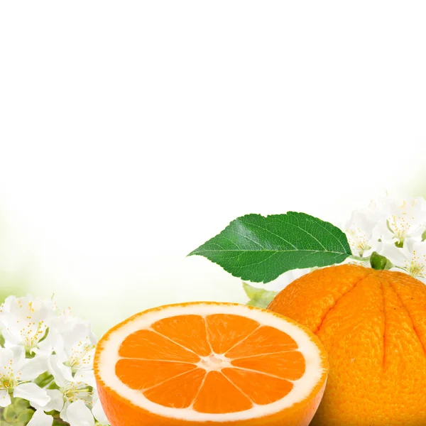 Oranges — Stock Photo, Image