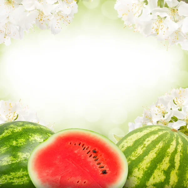 Melon avec tranche — Photo