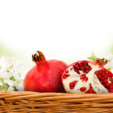 meyve çiçekleri ile