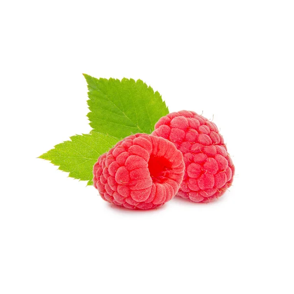 Himbeeren — Stockfoto