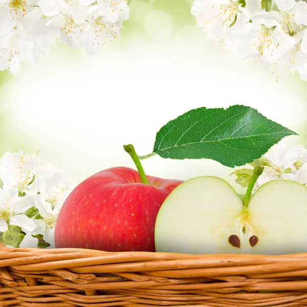 Obst mit Scheibe — Stockfoto