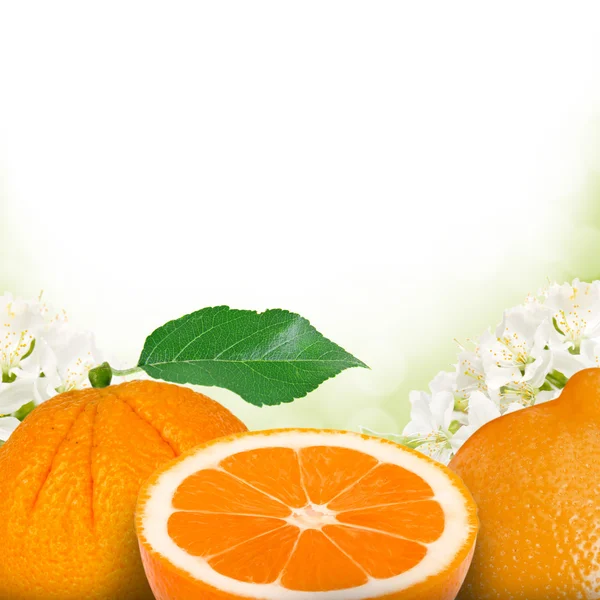 Orange — Stockfoto