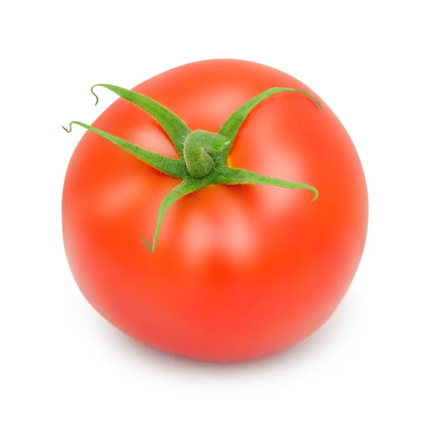 Tomato — Stock Photo, Image