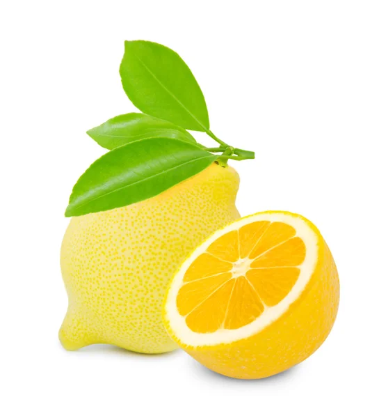 Izole limon — Stok fotoğraf