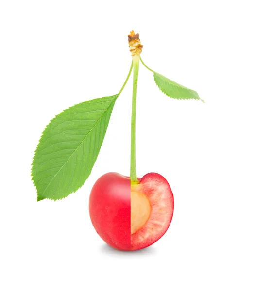 Cherry geïsoleerd — Stockfoto