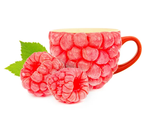 Raspberry thee — Stockfoto