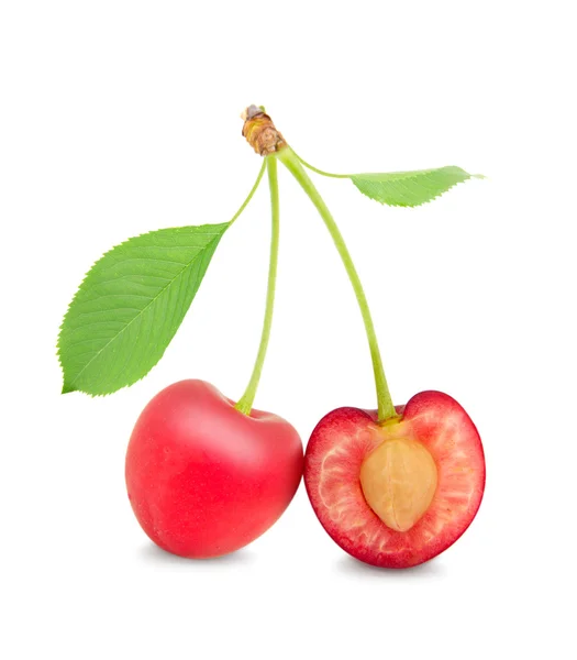 Cherry geïsoleerd — Stockfoto