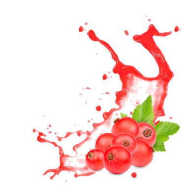 Frenk üzümü splash