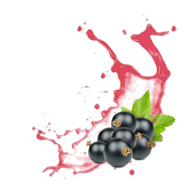 Frenk üzümü splash