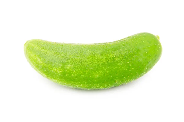 Pepino — Foto de Stock