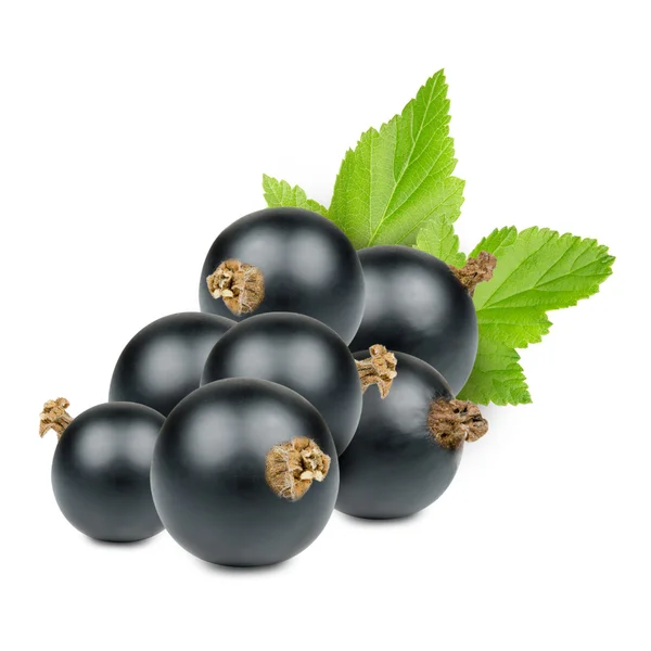 Currant — Stock Photo, Image