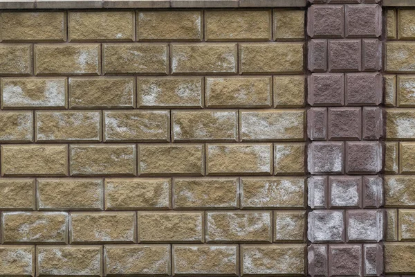 Une Photo Illustrant Efflorescence Sur Mur Briques Blocs Sel Efflorescé — Photo