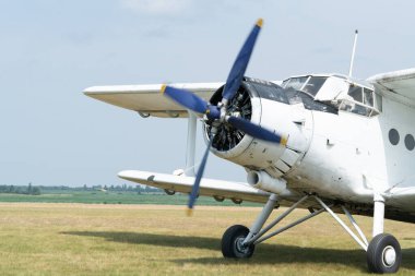 Bir An-2 uçağı çim havaalanında motorunu çalıştırıyor. Pervane dönmeye başlıyor. Ön görünüm.