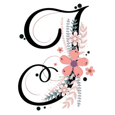 Alfabe süsleri. Çiçek ve yapraklı çiçek vektörü, klasik el yazısı, davetiye kartı ve diğer konsept fikirler için dekorasyon klasiği. Resim harfi süslemeleri