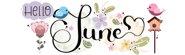 Merhaba June Çiçekler Kuşlar Yapraklarla Haziran Ayı Vektör Dekorasyonu Resim — Stok Vektör