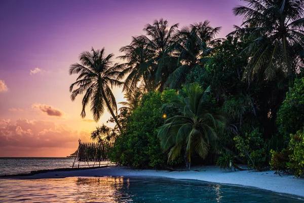 Sunset Paradise Island Turquoise Water Exotic Vegetation Maldives — Stock Photo, Image