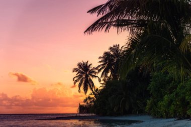 Turkuaz su ve egzotik bitki örtüsüyle bir cennet adasında gün batımı - Maldivler