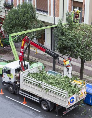 Logroño, Spain - October 22, 2013 - Gardeners pruning trees
