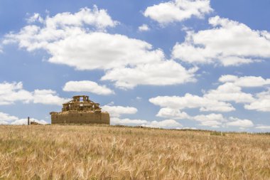 Ruined adobe pigeon house between a cereal field and a cloudy bl clipart