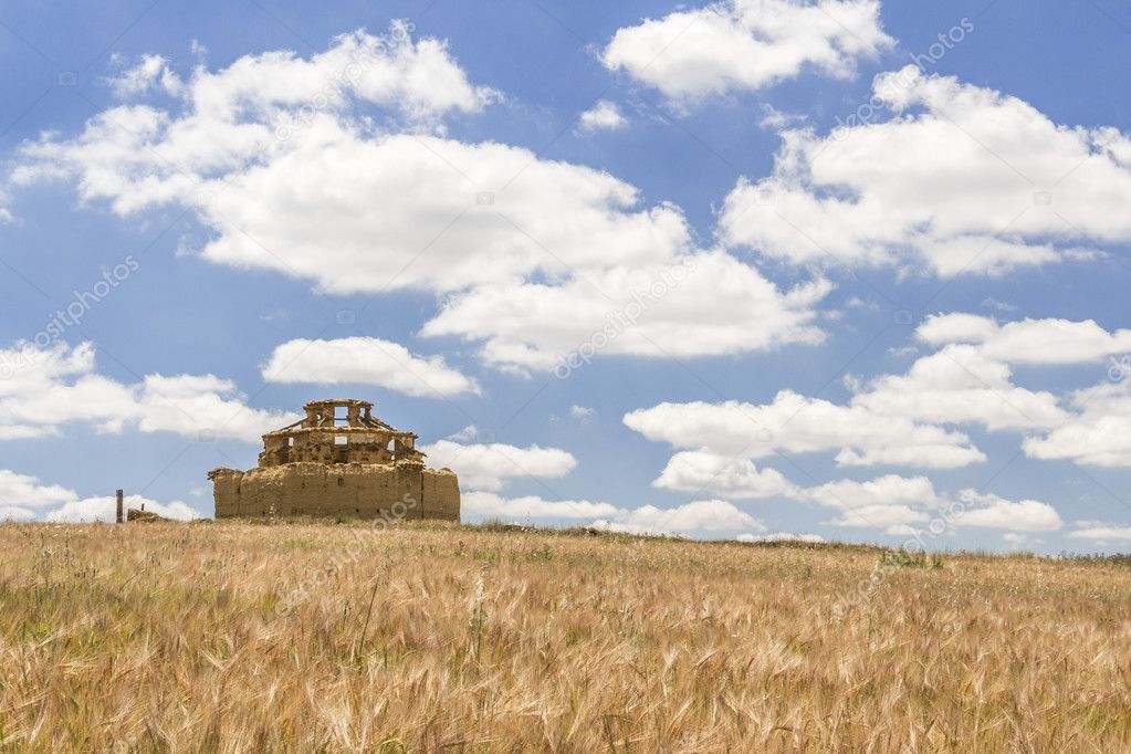 Ruined adobe pigeon house between a cereal field and a cloudy bl