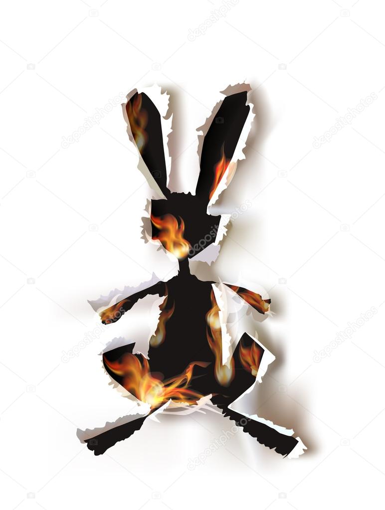 Ripped paper collection and flames, Bunny