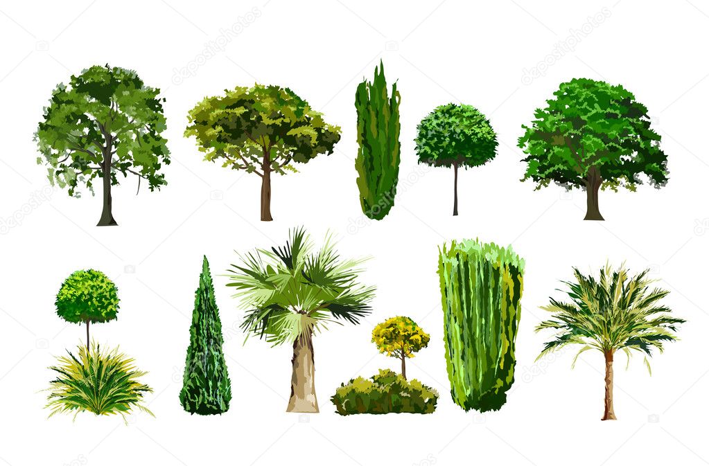 Realistic vector trees set