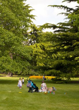 Londra İngiltere'de - june15, 2014: greenwich, Londra güneyindeki eski İngiliz park