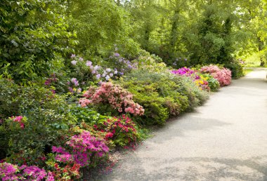 Greenwich, eski İngilizce Londra Güney park