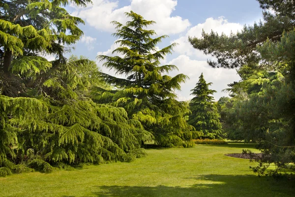 LONDRES UK - 15 DE JUNIO DE 2014: Greenwich, Old English park south of London — Foto de Stock