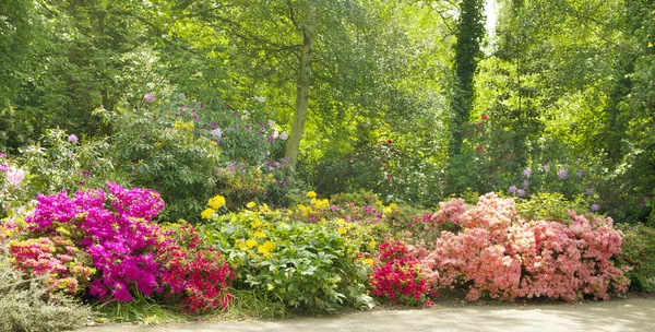 LONDRES UK - 15 JUIN 2014 : Greenwich, Vieux parc anglais au sud de Londres — Photo