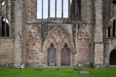 Wales, İngiltere - 26 Temmuz 2014: tintern abbey Katedrali mahveder. Abbey 1131 kurulmuştur. Henry VIII tarafından yok edildi. ünlü olarak 17the yüzyıldan kalma kalıntıları Galce..
