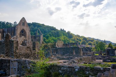 Wales, İngiltere - 26 Temmuz 2014: tintern abbey Katedrali mahveder. Abbey 1131 kurulmuştur. Henry VIII tarafından yok edildi. ünlü olarak 17the yüzyıldan kalma kalıntıları Galce..