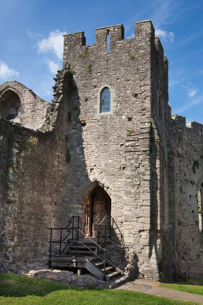 Chepstow kasteel, wales, Verenigd Koninkrijk - 26 juli 2014: chepstow castel ruïnes, Stichting, 1067-1188. gelegen op de oever van de rivier wye — Stockfoto
