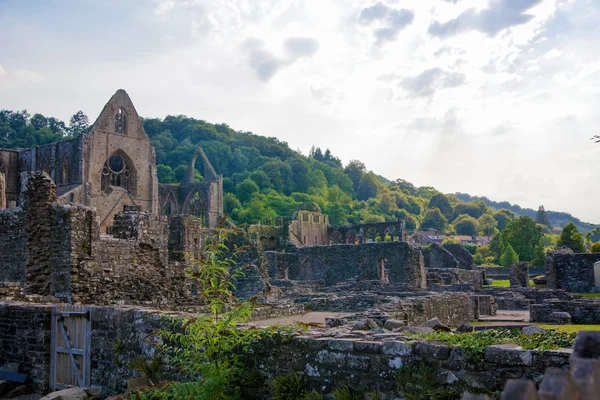 WALES, UK - 26 JULY 2014: Tintern abbey cathedral ruins. Abbey was established at 1131. Destroyed by Henry VIII. Famous as Welsh ruins from 17the century. — Stock Photo, Image