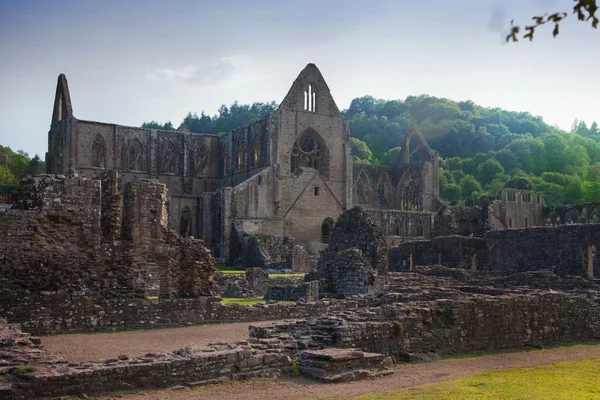 WALES, UK - 26 JULY 2014: Tintern abbey cathedral ruins. Abbey was established at 1131. Destroyed by Henry VIII. Famous as Welsh ruins from 17the century. — Stock Photo, Image