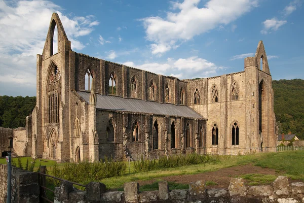 WALES, Reino Unido 26 de julho de 2014: Tintern abbey cathedral ruínas. A abadia foi estabelecida em 1131. Destruído por Henrique VIII. Famosas como ruínas galesas do século XVII . — Fotografia de Stock