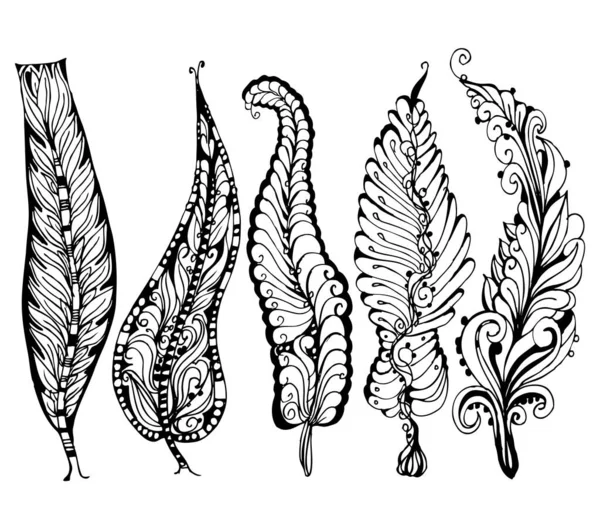 Decorative Trees Set Hand Drawing Ink Illustration Detailed Sketch — Stockfoto