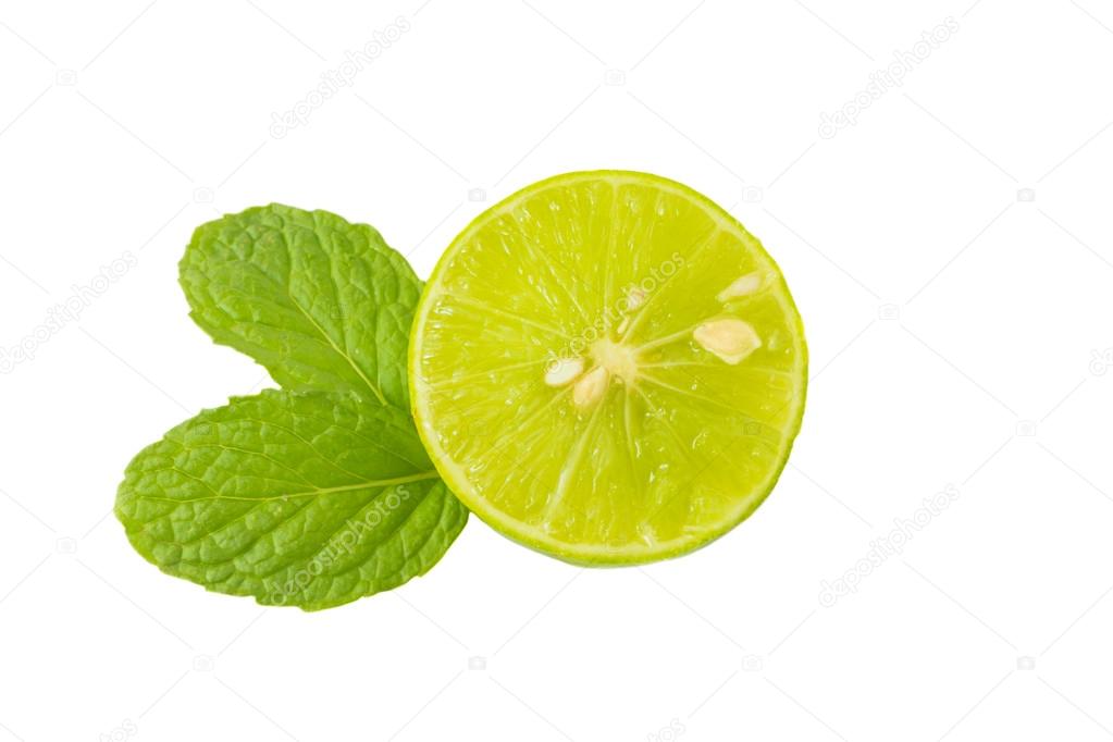 Green lime half and mint leaf on white background