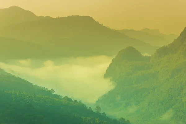 Brouillard montagneux dans la nature — Photo