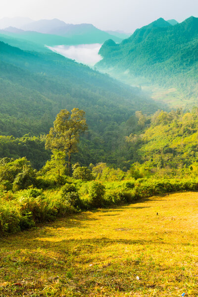 Горный туман в природе
