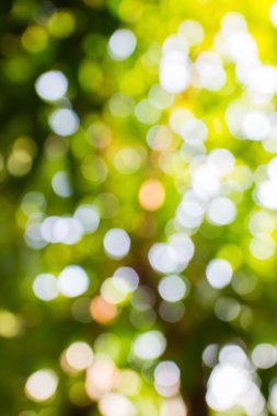 Yeşil bokeh arka plan