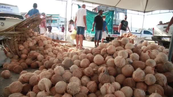 Conde Bahia Brasilien Oktober 2021 Handel Mit Getrockneten Kokosnüssen Auf — Stockvideo