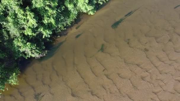 2021年10月7日 巴伊亚州北部城市孔德市伊塔皮库鲁河干床的空中景观 — 图库视频影像