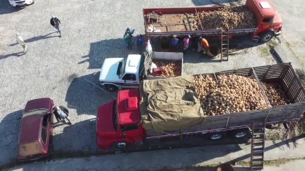 Conde Bahia Brasil Outubro 2021 Trabalhadores Carregam Caminhão Com Coco — Vídeo de Stock